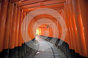 Red Torii Gates Japan photo