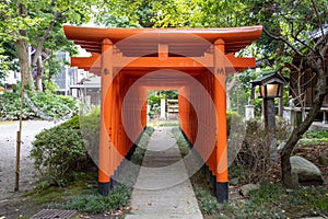 Red torii gates at Kasuga jinja shinto shrine, Kanazawa, Japan. TRANSLATION: donated