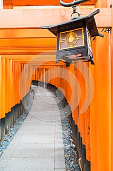 the red torii gates walkway at fushimi inari taisha shrine in Ky