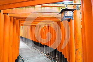 the red torii gates walkway at fushimi inari taisha shrine in Ky