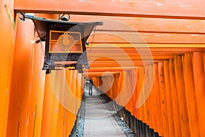 the red torii gates walkway at fushimi inari taisha shrine in Ky