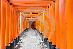 the red torii gates walkway at fushimi inari taisha shrine in Ky