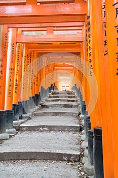 the red torii gates walkway at fushimi inari taisha shrine in Ky