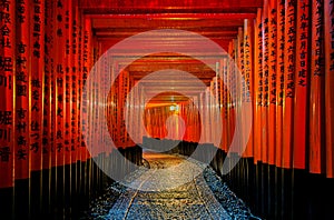 The red torii gates walkway at fushimi inari taisha shrine in Kyoto, Japan