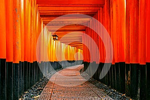 The red torii gates walkway at fushimi inari taisha shrine in Kyoto, Japan.