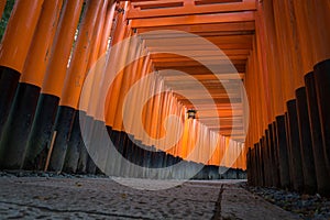 The red torii gates walkway path at fushimi inari taisha shrine