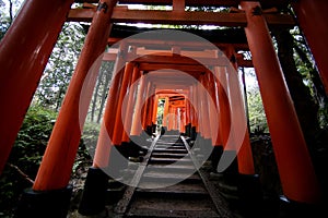 The red torii gates walkway path at fushimi inari taisha shrine the one of attraction landmarks for tourist in Kyoto Japan 11 14