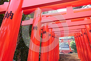Red Torii at Udojingu