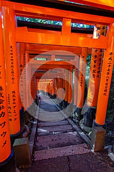 Red toriis in fushimi near Kyoto Japan