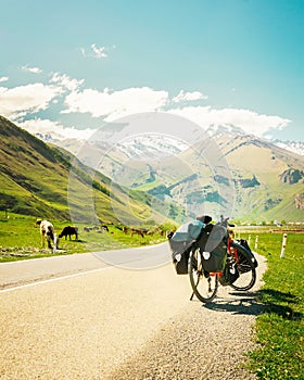 Red touring bicycle loaded with heavy gear in four pannier bags stand on side of asphalt road surrounded by summer nature and