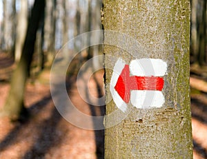 Red tourist or hiking trail signs symbols on tree tree