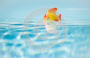 Red toy Fish in swimming pool