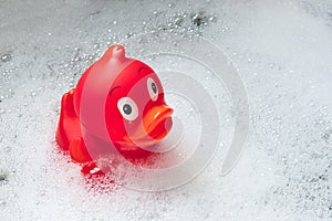 Red toy rubber duck among the soap bubbles in the bath