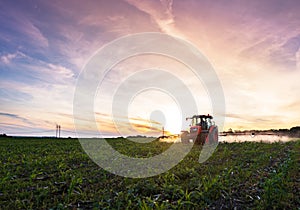Red tractor cultivating field under blue sky.