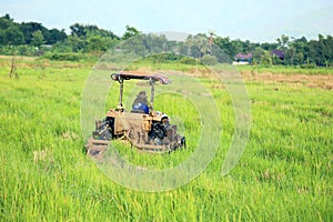 Red tractor in green field