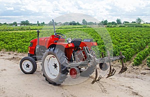 Red tractor with a plow on plantation of paprika pepper bushes. Farming agribusiness, agriculture industry. Agricultural machinery