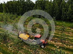 A red tractor sprays pesticides in an Apple orchard. Spraying an apple tree with a tractor