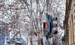 Red traffic light signal for pedestrians to stop on the crosswalk in the urban city street