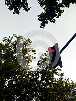 Red traffic light with trees background