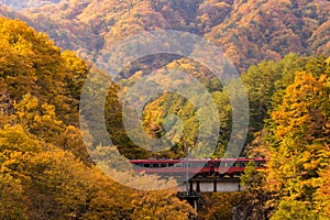 Red train commuter Fukushima Japan