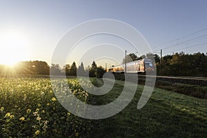 Red train and spring landscape at sunrise. Spring travel context