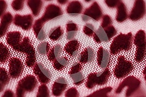 Red transparent fabric mesh with leopard print background