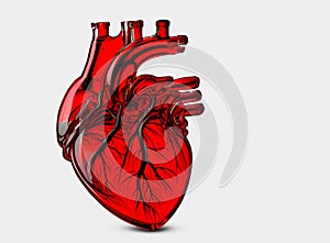 Red transparent human heart from glass with red veins