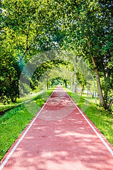 Red treadmill on the alley in the park among the trees in the morning. Red running track in the park in summer