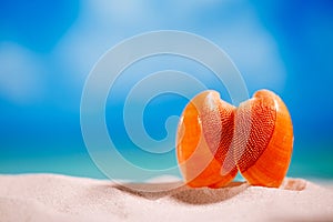 Red tropical shell on white beach sand under sun light