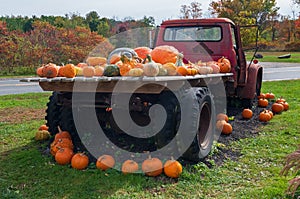 Red Truck with Pumpkins