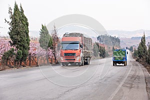 Red truck and tractor driving on the asphalt road in rural landscape of Dongchuan, South China. Beautiful roadside, peach cherry