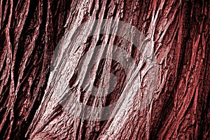 Red trunk with texture background