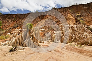 Red Tsingy canyon landscape in Madagascar