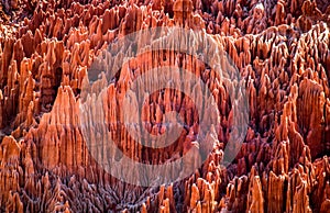 Red Tsingy. Typical landscape. Madagascar. photo