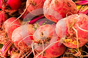 Red tubers photo