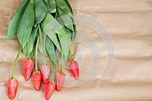 Red tulip bouquet spring flower arrangement gift