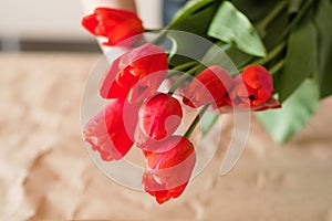 Red tulip bouquet spring flower arrangement gift