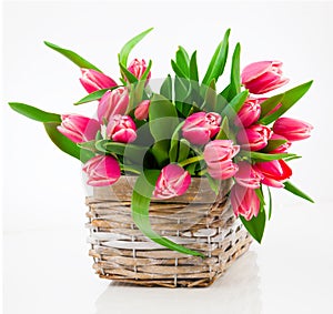 Red tulip flowers in a basket