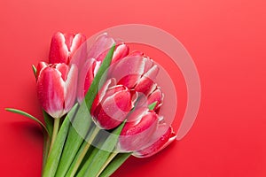 Red tulip flowers