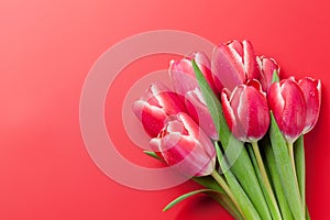 Red tulip flowers bouquet