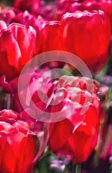 Red Tulip Multi Exposure, Oil Painting Style