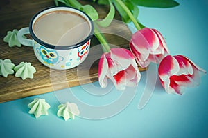 Red tulip white white border on blue background cacao cup marshmallow.