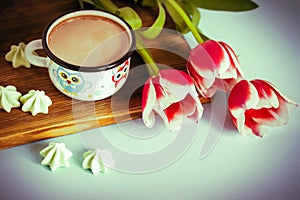 Red tulip white white border on blue background cacao cup marshmallow.