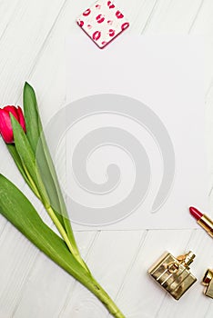 Red tulip on a white wooden board