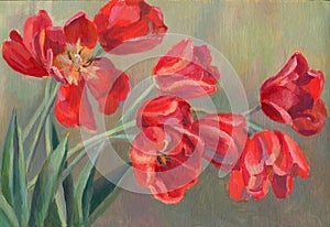 Red tulips drawing oil photo
