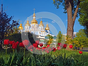 Red tulips and beautiful scenery of the Saint Michael`s golden-domed cathedral and monastery in Kiev