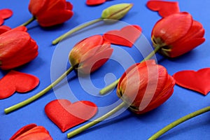 Red tulips on a blue background with hearts