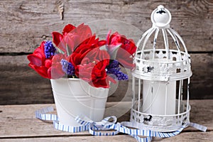 Red tulips and blue muscaries flowers in white bucket and candl
