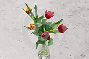 Red tulips flowers in glass vases on paste white background. Nature concept. Minimal style. Flowers scarlet tulips as a gift