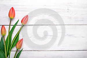 Tulipani fiori sul di legno tavolo. copiare spazio 